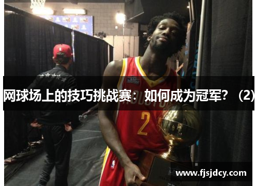 网球场上的技巧挑战赛：如何成为冠军？ (2)